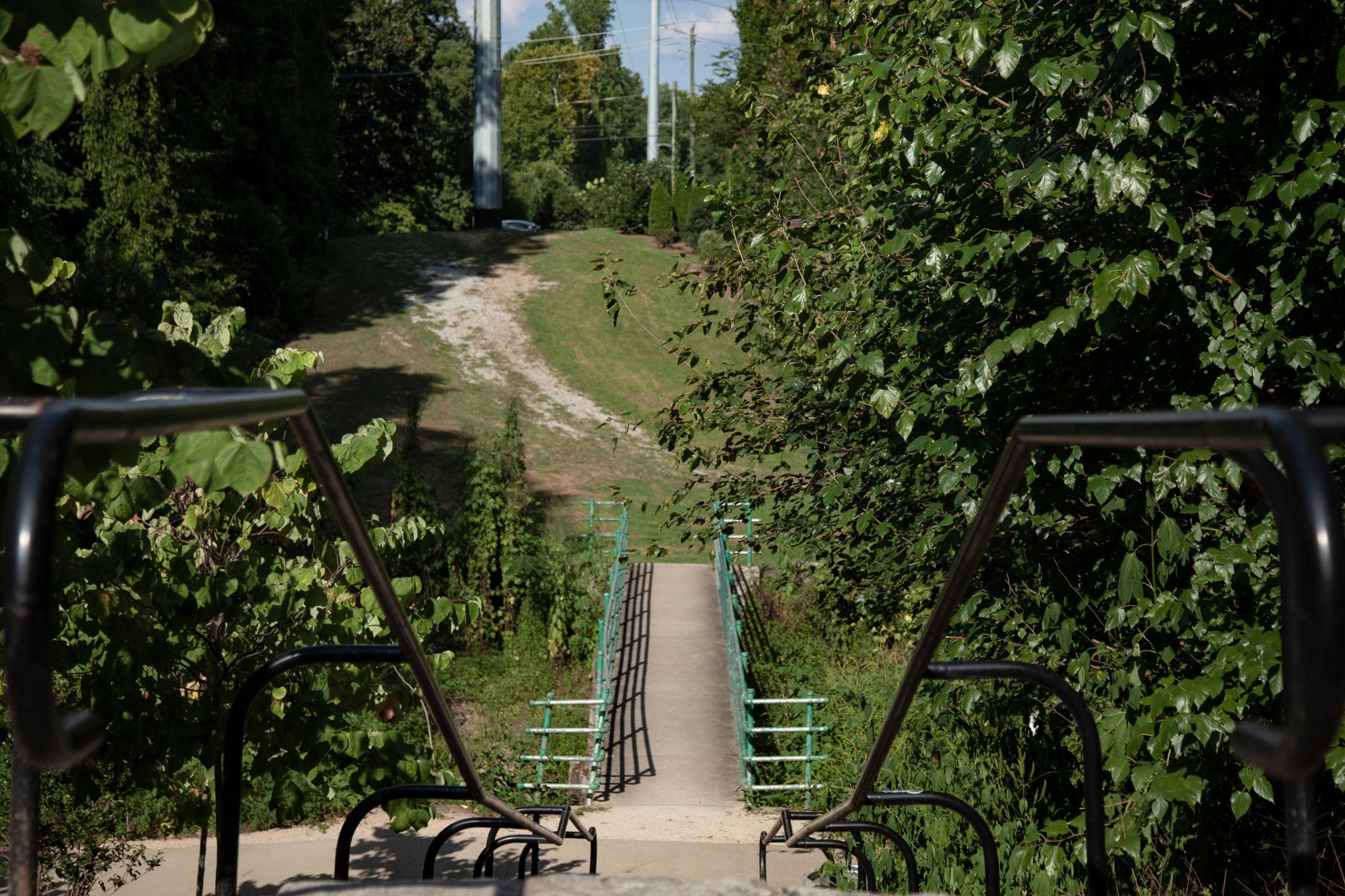 Collier-Hills-4.jpg